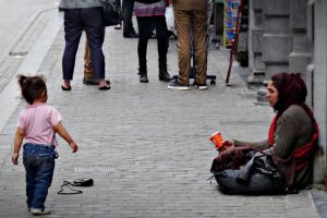 S-au inmultit cersetorii, in Ploiesti. Ce masuri iau politistii