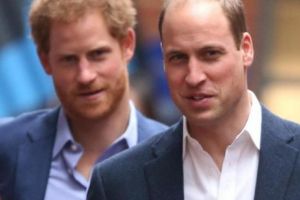 SECRETUL care zguduie COROANA BRITANICĂ. Prinţii William şi Harry au DOI FRAȚI vitregi