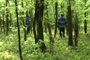 Descoperire MACABRĂ în Maramureş. Pădurea a fost IZOLATĂ de URGENȚĂ de POLIȚIȘTI