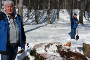 Arheologii, despre tăierile de copaci de la Regia: „Monumentul nu a fost afectat”