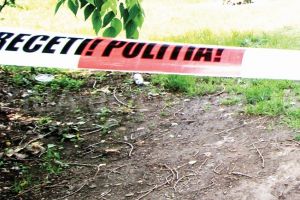 Unda verde pentru judecata lui Panainte Bantas 