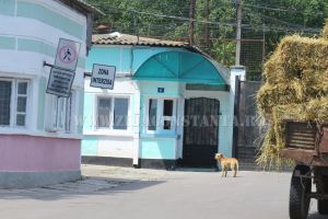 Penitenciarul Poarta Alba, declaratii de avere: Directorul adjunct pentru Educatie, Emilia Topala, detine un teren si doua autovehicule (documente) 