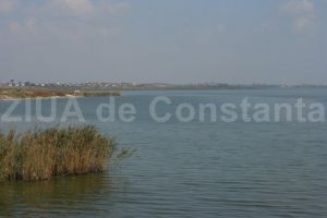 Investitie imobiliara in orasul Ovidiu. Westhouse Group SRL, demersuri catre APM Constanta 