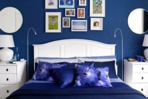 Culoarea cea mai căutată este albastru-Facebook!