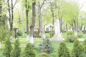 Nereguli cât încape: Camera de Conturi Vaslui, în “vizită de lucru” la Parcuri Verzi SRL Huşi