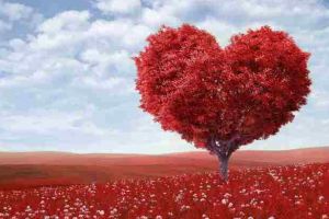 Valentine’s Day messages. Text messages or SMS that you can send to your loved ones