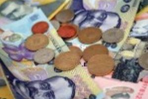 Revenirea burselor apreciaza leul