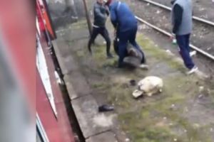 Scene de o violenţă extremă într-un tren din Arad. Un călător e dat jos şi bătut de anagajaţul CFR I VIDEO