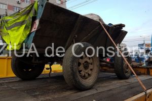 Atelaje, ridicate de politistii locali constanteni. Ce alte sanctiuni au constatat agentii