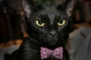 Pompierii s-au jucat cu medicii de-a „Marţi, 13, zi cu ghinion“!