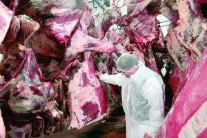 A crescut numărul sacrificărilor de ovine, porcine şi caprine