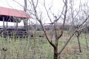 Băbana: când pitorescul se îmbină cu nevoia