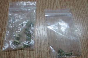 Tineri prinsi fumand etnobotanice langa un restaurant din Calea Sagului