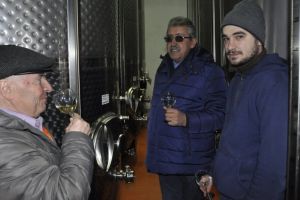 Ce a fost şi cum mai este. Povestea vinului băcăuan