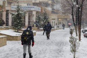 Cod galben de ninsori şi vânt puternic