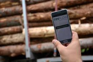 Holzindustrie Schweighofer Romania:  Timflow, sistemul de monitorizare a lanţului de aprovizionare, îşi dovedeşte din nou eficienţa