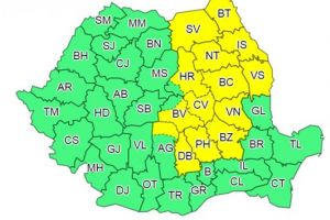 Cod galben de ninsori abundente, până joi