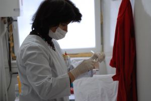 Virozele, pneumonia şi gripa afectează tot mai mulţi bistriţeni. Sfaturile unui medic de familie