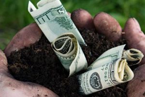 Lămuriri despre baza de date cu preţuri de referinţă a AFIR