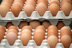 Suspiciune de ouă infestare cu fipronil, în judeţul Buzău, care proveneau de la Braşov