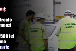 ITM Neamţ: 304 controale şi amenzi de 273.500 lei în luna ianuarie