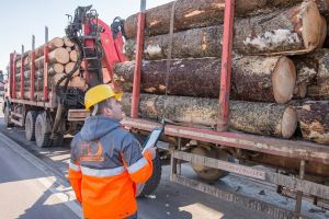 Timflow, sistemul de monitorizare a lanţului de aprovizionare, îşi dovedeşte eficienţa