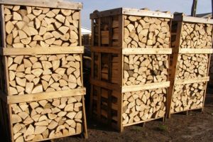 Patronul unei firme din Bistra, amendat cu 5.000 de lei pentru delicte silvice. Ce au constatat poliţiştii