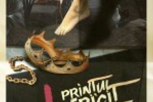 Joi , 15 februarie  2018 ,orele 18.00 la Sala ”Bujor Macrin” va invitam sa revedeti  spectacolului ”PRINTUL NEFERICIT ”