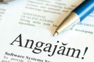 AJOFM Maramures: Locuri de munca disponibile la data de 14 februarie