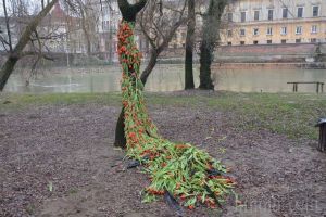 Flamenco pe mal: Copacul 