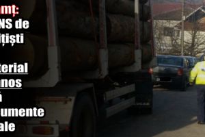 Neamţ: Prins de poliţişti cu material lemnos fără documente legale