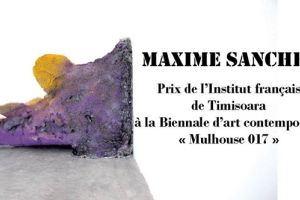 Expozitie marca Maxime Sanchez la Institutul Francez din Timisoara