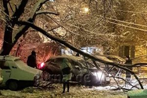 Ninsoarea a rupt copaci şi a distrus maşini în Focşani