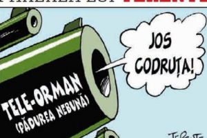 Părerea lui Terente