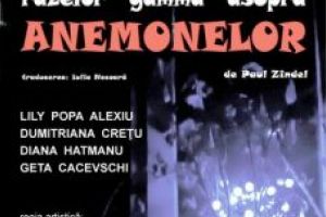 Piesa unui dramaturg american, pe scena bârlădeană