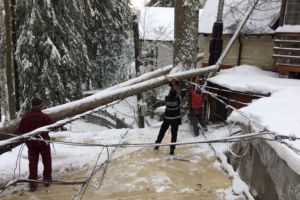 Copac căzut pe firele electrice în Sinaia