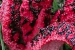 „Degetele Dracului” au îngrozit o comunitate rurală. „ARĂTAREA” ce face carieră în mediul online ESTE PREA SINISTRĂ. FOTO şi VIDEO