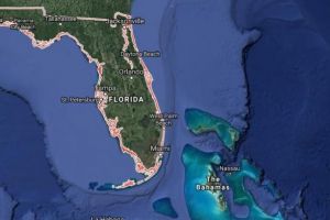 SUA. Drapele, coborate in berna dupa atacul armat de la un liceu din Florida. 17 morti