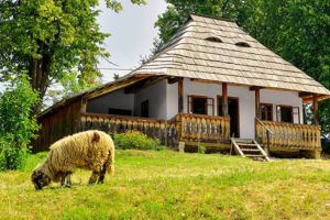 Cine dă tonul acestui cântec?!