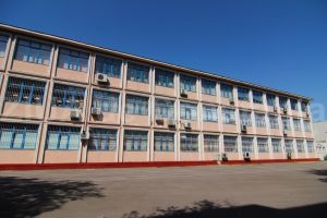 Camere de luat vederi sau paznici in scoli? Cum vede primarul Fagadau rezolvata problema sigurantei elevilor?