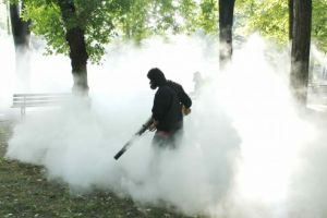 Deratizarea Devei, şmecherii cu mulţi bani publici