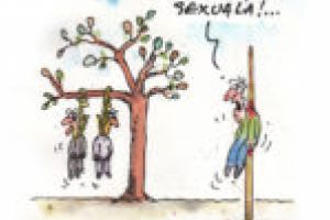 Insectarul cu nă(l)uci 16 februarie 2018