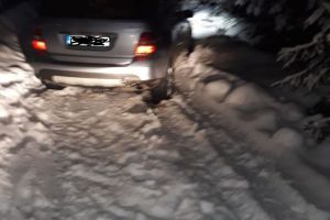 FOTO. Șofer din Sebeş, rămas blocat după ce a luat-o pe scurtătură spre o pensiune din Poarta Raiului, Munţii Șureanu