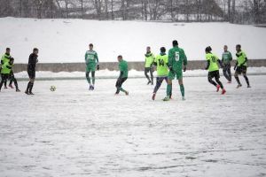 Foresta cere FRF amânarea startului sezonului oficial de primăvară