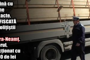 Maşină cu lemne fără acte, confiscată de poliţiştii din Piatra-Neamţ. Șoferul, sancţionat cu 6.000 de lei