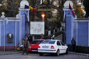 Vine defrişarea! ADP Oradea va tăia 200 de arbori maturi crescuţi între mormintele din cimitir