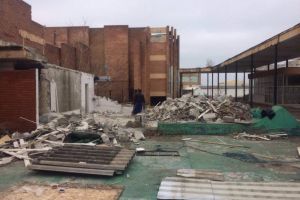 Zona Teatrului de Vara Mamaia, igienizata (galerie foto)