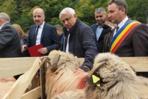 CONCURENȚĂ. Ministrul Energiei îi bate OAIA lui Daea. Declaraţiile săptămânii!
