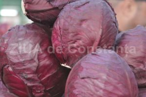 Varza rosie previne boala Alzheimer