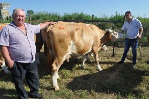 Suntem mai mulţi, dar lucrăm tot atâţi. Cât la sută din populaţia judeţului face agricultură